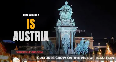 Austria's Wealth: A Comprehensive Overview