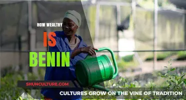 Unlocking Benin's Economic Potential: A Journey to Prosperity