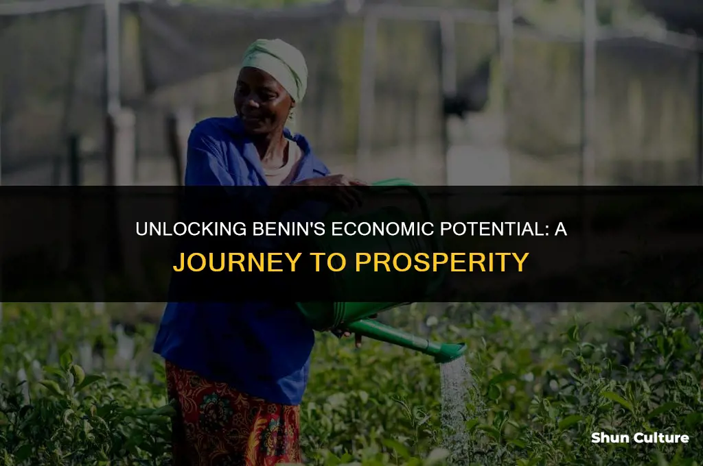 how wealthy is benin
