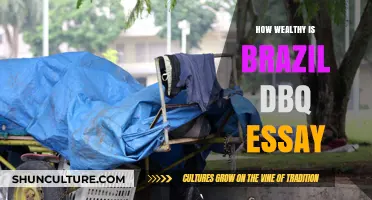 Exploring Brazil's Wealth: A Comprehensive DBQ Essay Analysis