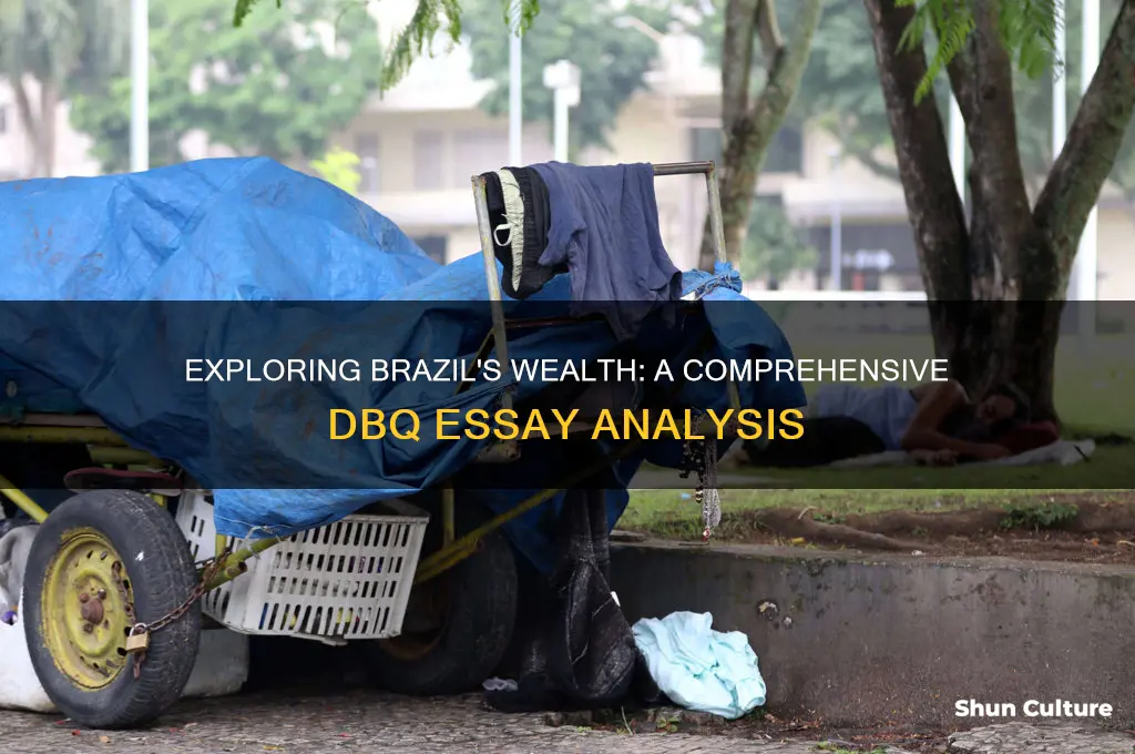 how wealthy is brazil dbq essay