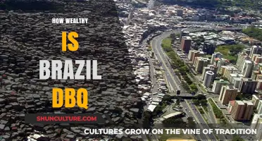 Brazil's Wealth: A Historical Analysis of Economic Power and Disparity