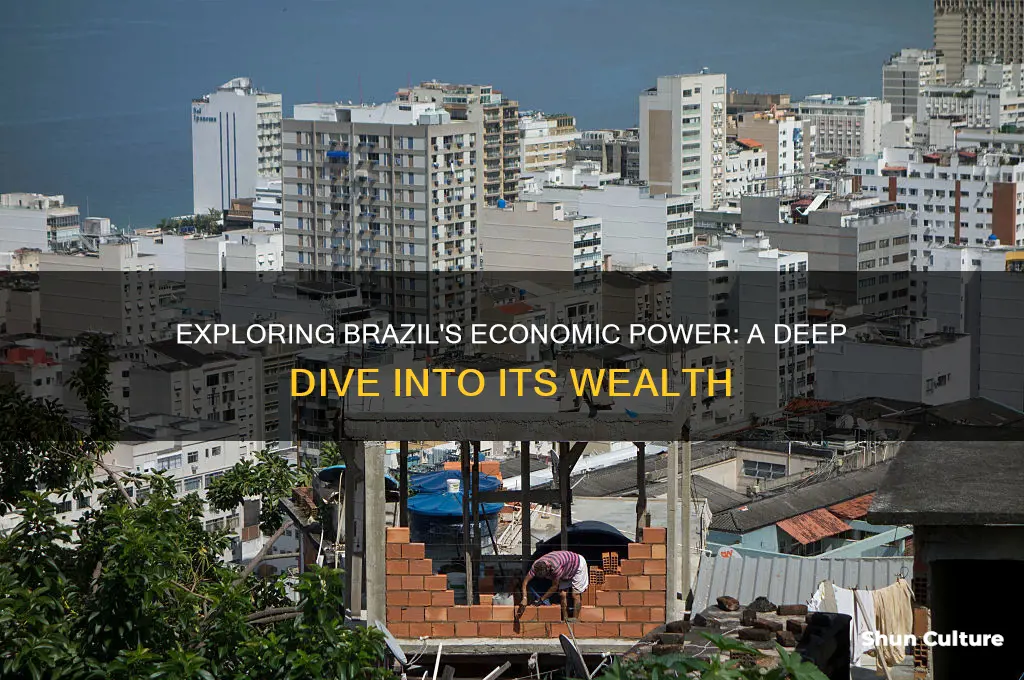 how wealthy is brazil essay