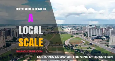 Brazil's Local Wealth: Exploring Economic Disparities and Regional Prosperity