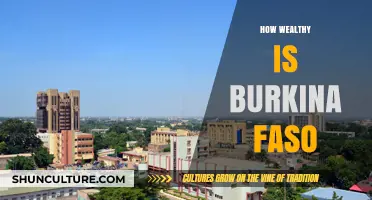 Exploring Burkina Faso's Economic Landscape: A Wealth Assessment