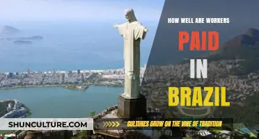 Wage Reality in Brazil: A Closer Look at Workers' Compensation