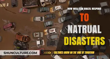Brazil's Resilience: Assessing Natural Disaster Preparedness and Response Strategies