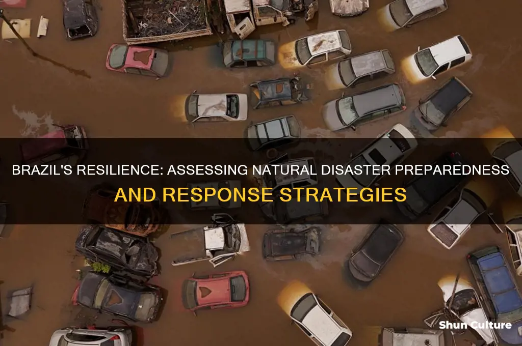 how well can brazil respond to natrual disasters