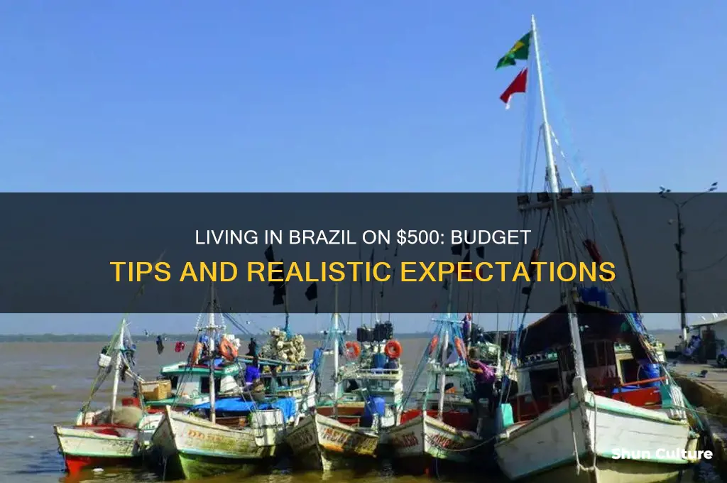 how well can you live in brazil on 500 dollars
