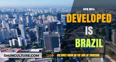Exploring Brazil's Development: A Comprehensive Overview