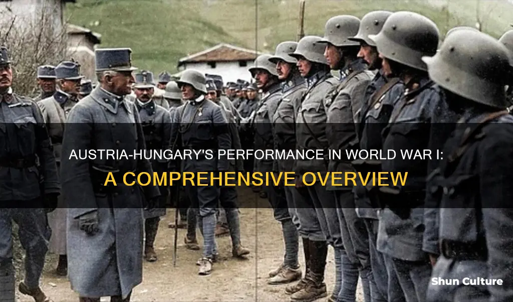 how well did austria hungary do in ww1