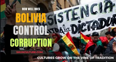 Fighting Corruption: Bolivia's Strategies and Challenges