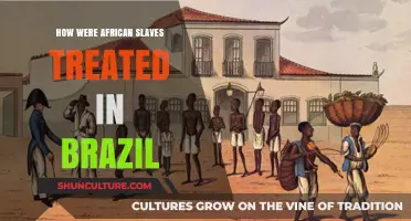 The Brutal Reality: African Slaves' Treatment in Brazil