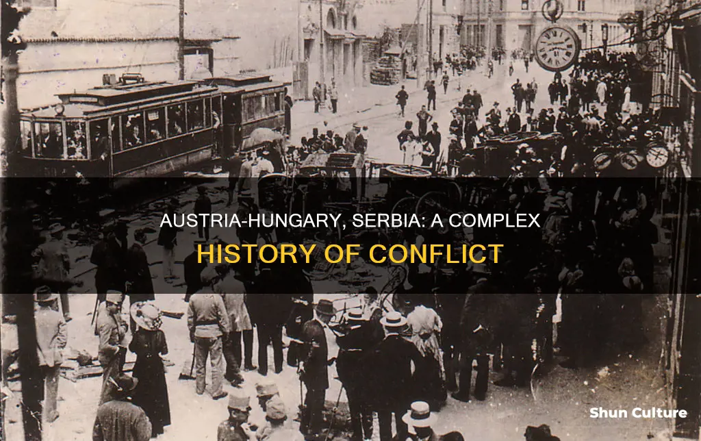 how were austria hungary and serbia at odds