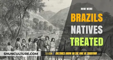 The Historical Treatment of Brazil's Indigenous Peoples