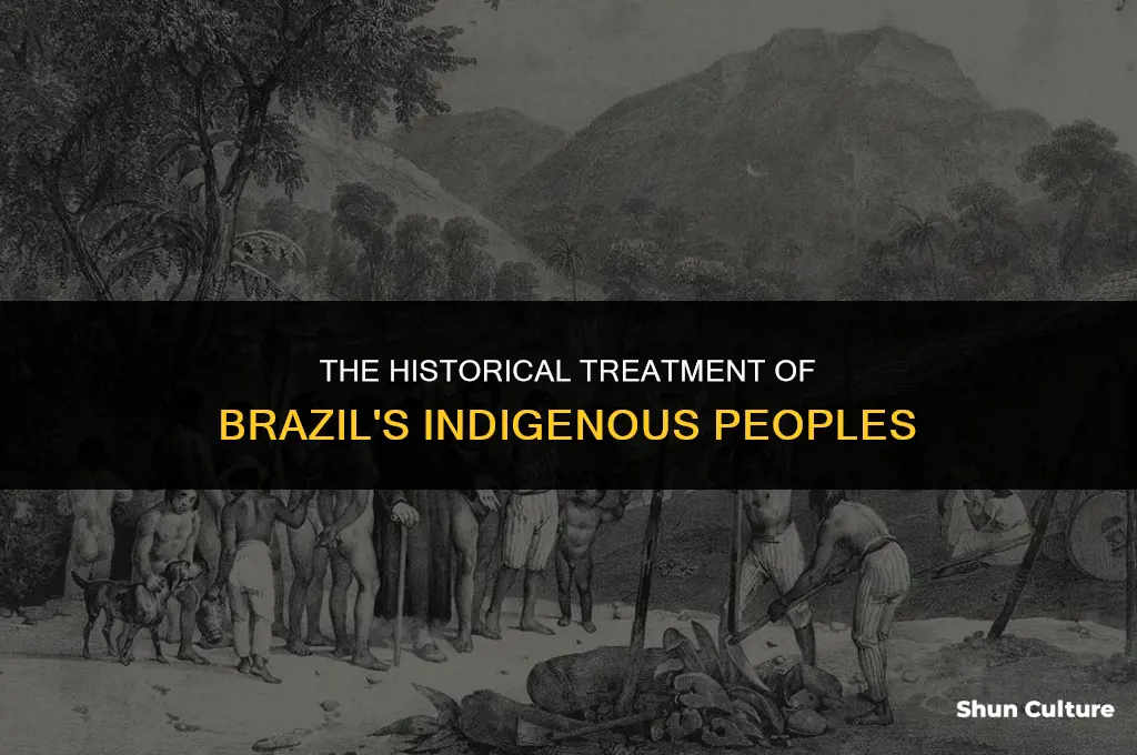 how were brazils natives treated