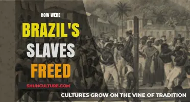 Emancipation in Brazil: The Long Road to Freedom for Enslaved Africans