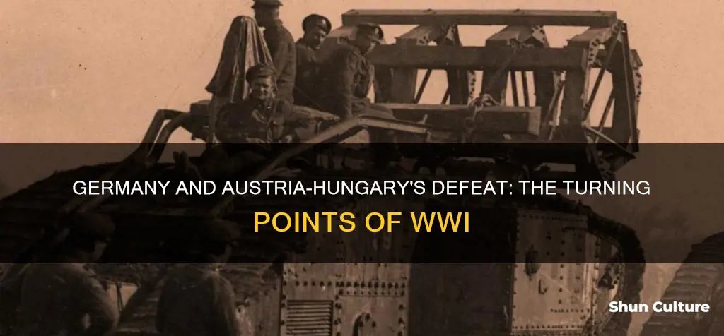 how were germany and austria-hungary defeated in world war 1