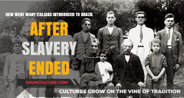 Post-Slavery Migration: Italians' Journey to Brazil