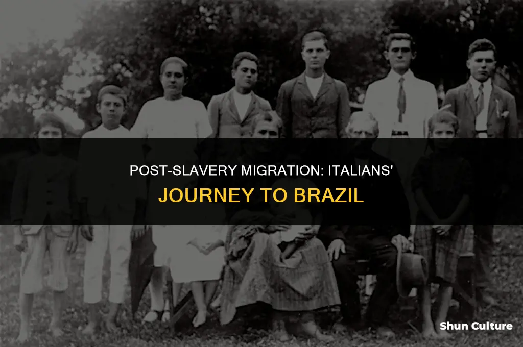 how were many italians introduced to brazil after slavery ended
