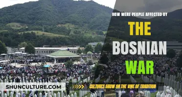 The Bosnian War's Devastating Impact on Lives and Communities