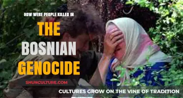 Bosnian Genocide: Methods of Mass Murder and Ethnic Cleansing