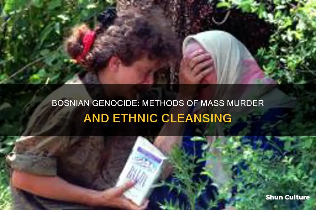 how were people killed in the bosnian genocide