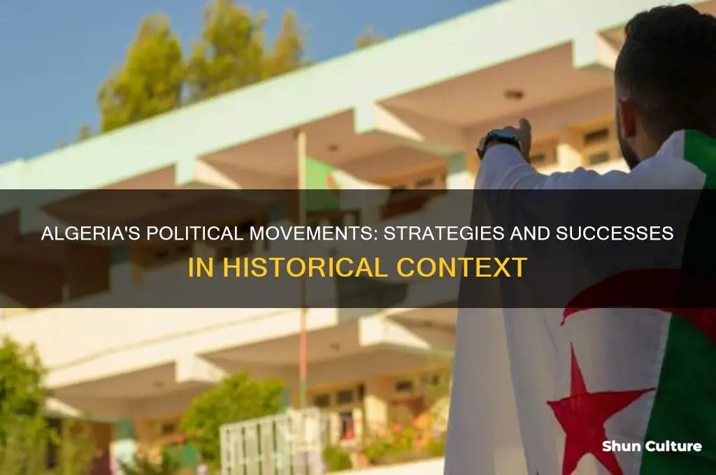 how were political movements in algeria both successful