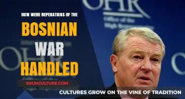 Bosnian War Reparations: Justice, Challenges, and Healing After Conflict