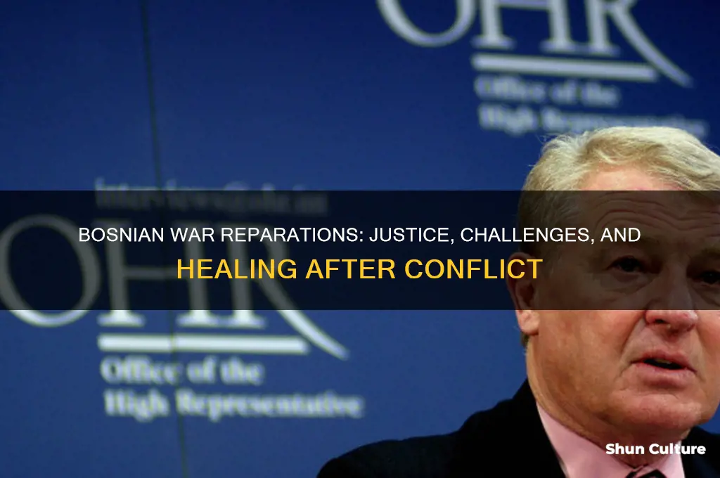 how were reperations of the bosnian war handled
