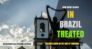 The Brutal Realities of Slave Treatment in Brazil's History