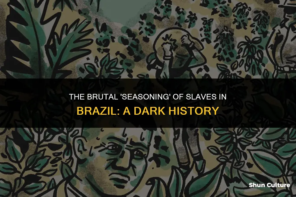 how were slaves seasoned in brazil