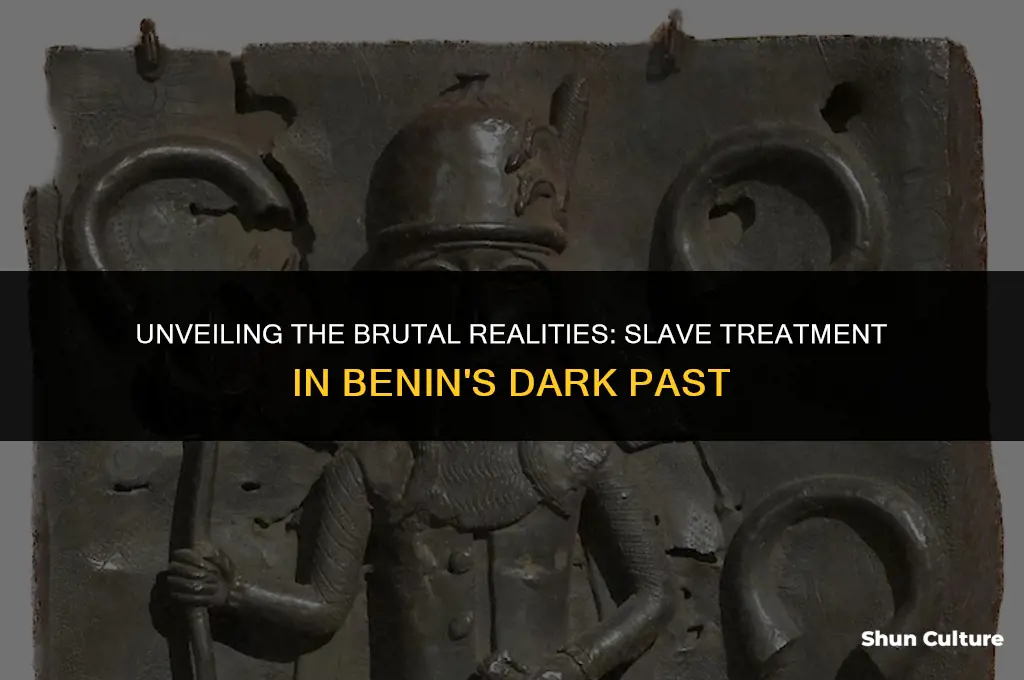 how were slaves treated in benin