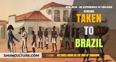 From Africa to Brazil: The Untold Stories of Enslaved Africans