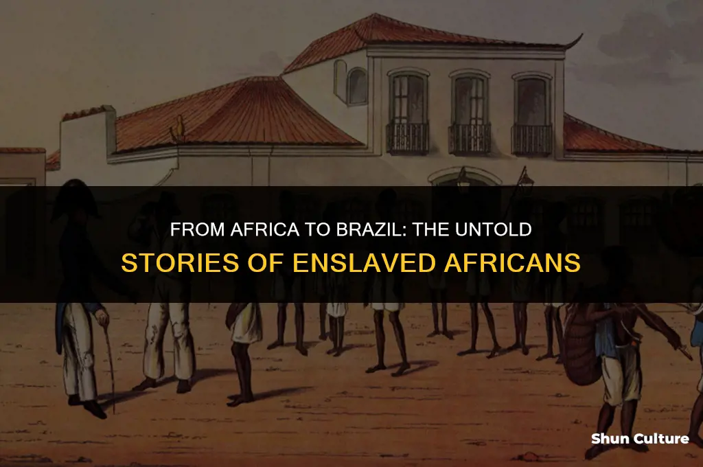 how were the experiences of enslaved africans taken to brazil