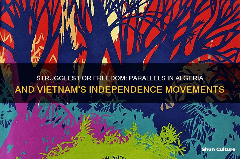 how were the independence movements in algeria and vietnam similar