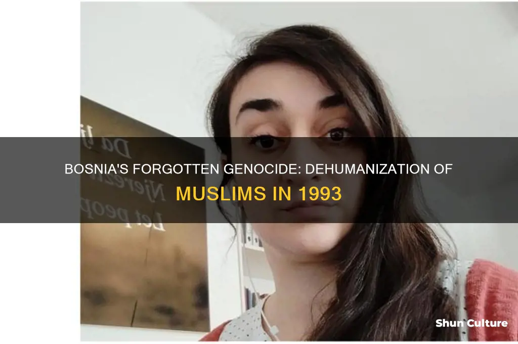 how were the muslims in bosnia dehumanized in 1993