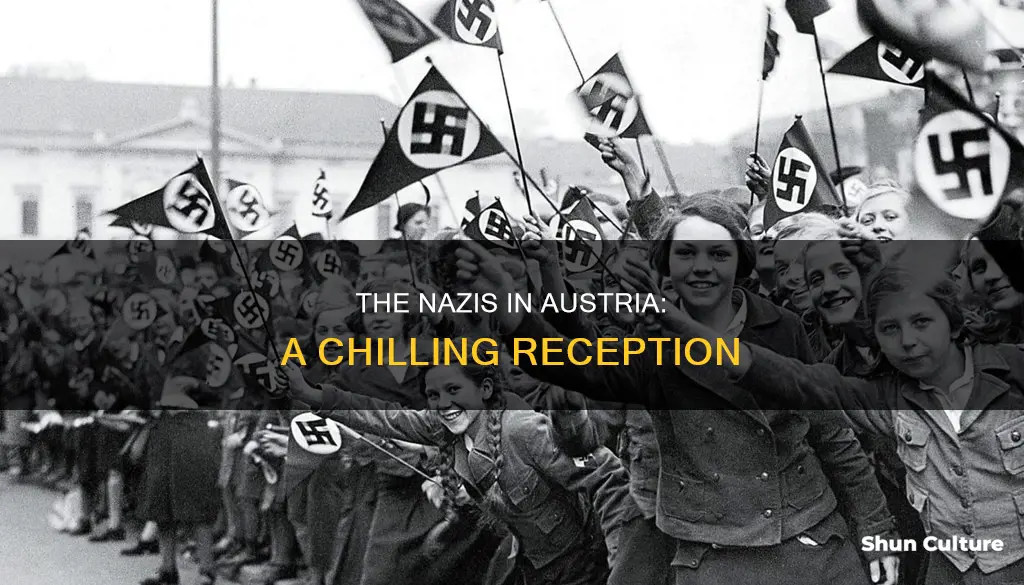 how were the nazis received in austria