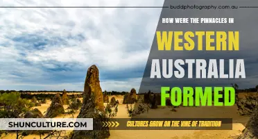 The Pinnacles: A Mystery in Western Australia
