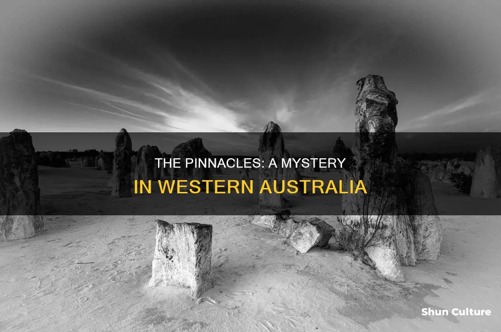 how were the pinnacles in western australia formed