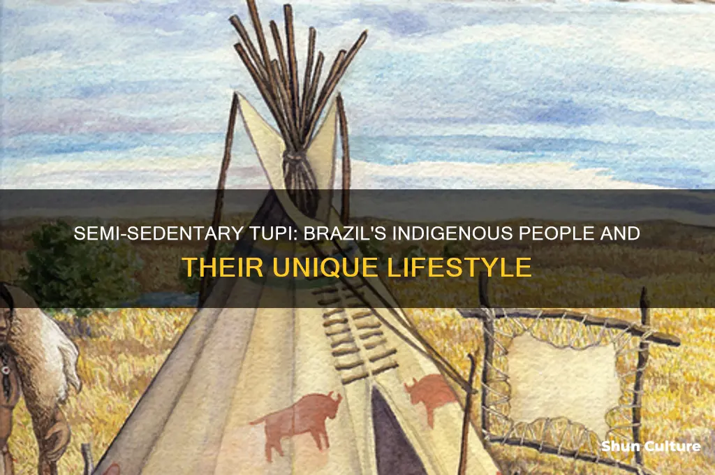 how were the tupi people of brazil semi sedantary