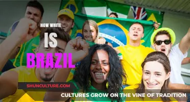Exploring the Complexities of Race and Identity in Brazil
