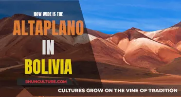 Exploring the Vastness of Bolivia's Altiplano