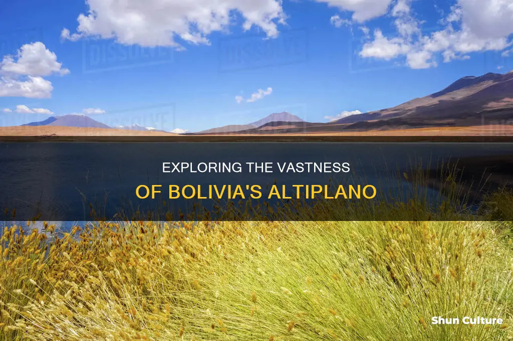 how wide is the altaplano in bolivia