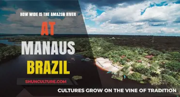 Exploring the Majestic Width of the Amazon River in Manaus, Brazil
