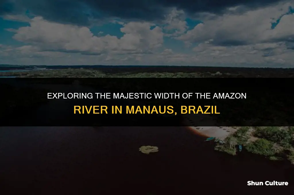 how wide is the amazon river at manaus brazil