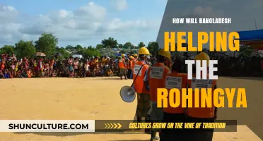 Bangladesh's Lifeline: Supporting Rohingya Refugees Through Humanitarian Aid