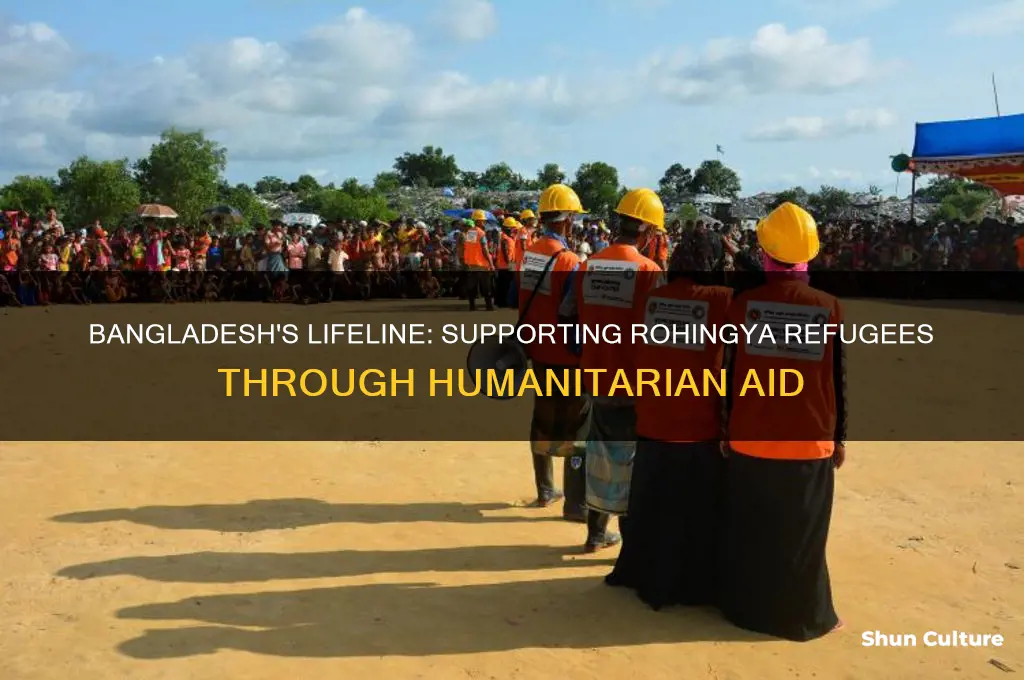 how will bangladesh helping the rohingya
