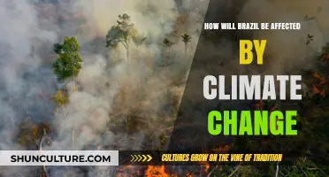 Brazil's Future in the Balance: Climate Change Impacts and Adaptation Strategies