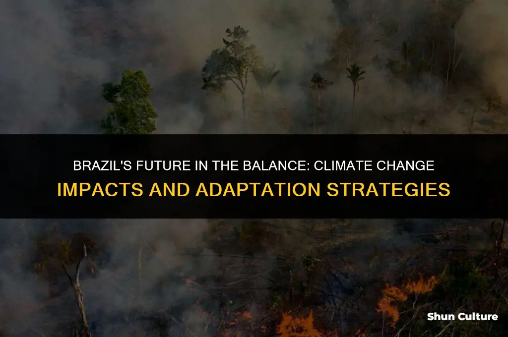how will brazil be affected by climate change